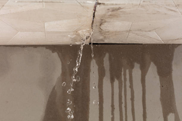 Professional Water Extraction technician working in Woodside, NY